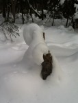 snowfiddle