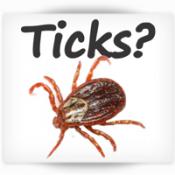 tick icon